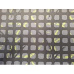 velours de cars  CH-S-2025.10