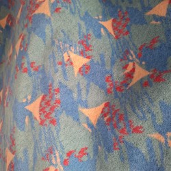 velours de cars CH-EP-2