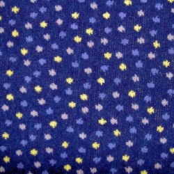 Tissu de cars  CH-S-2025.14