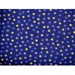 Tissu de cars  CH-S-2025.14